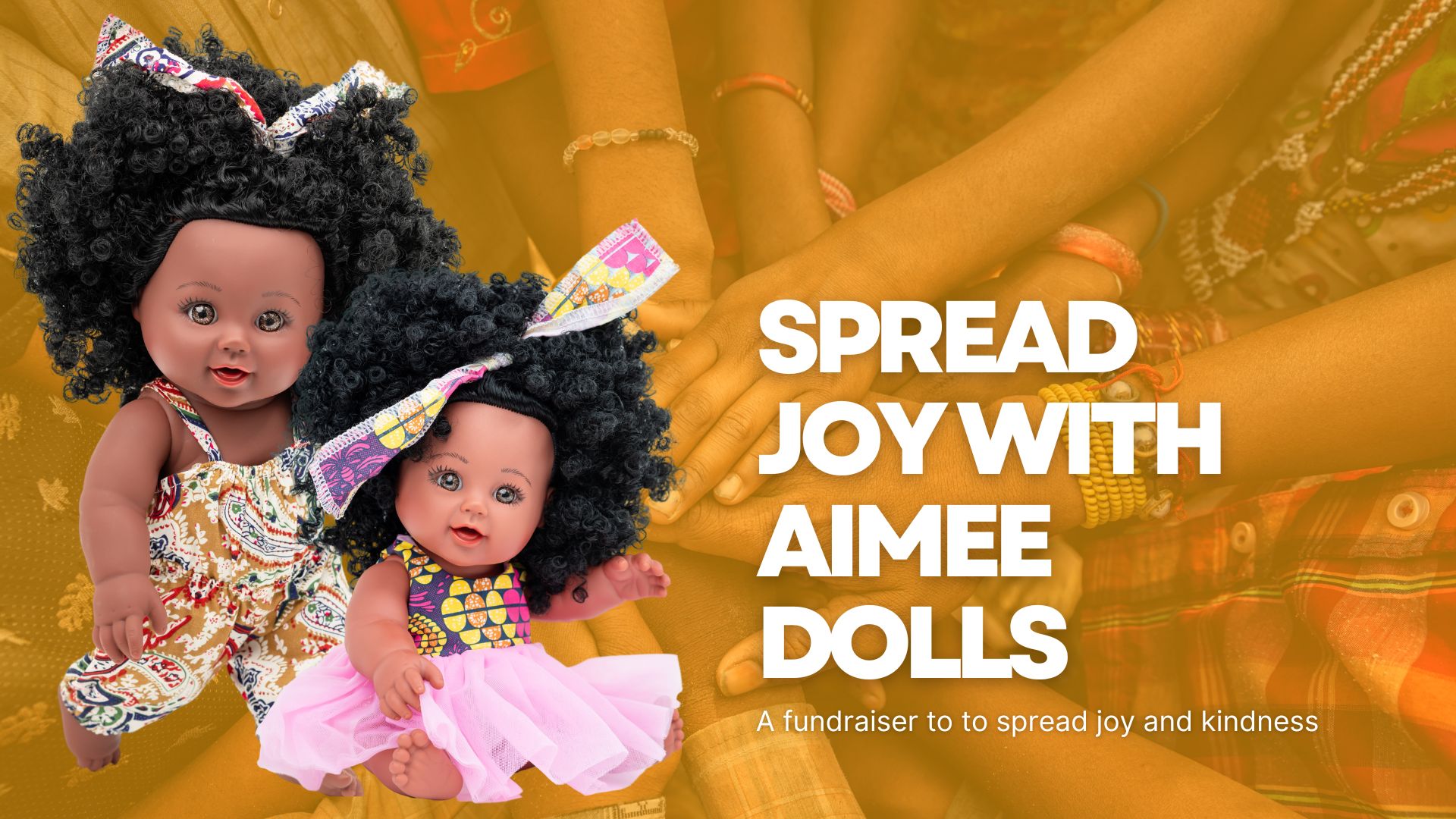 aimee doll fundraiser banner